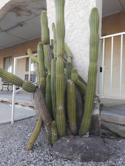 Saguaro Hot Mineral Wells Motel, Tonopah, Arizona, USA