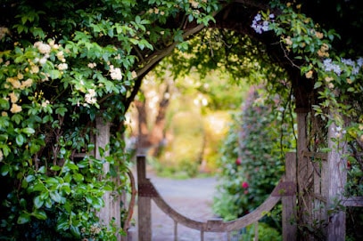 Bear Valley Cottage, Olema, California, USA