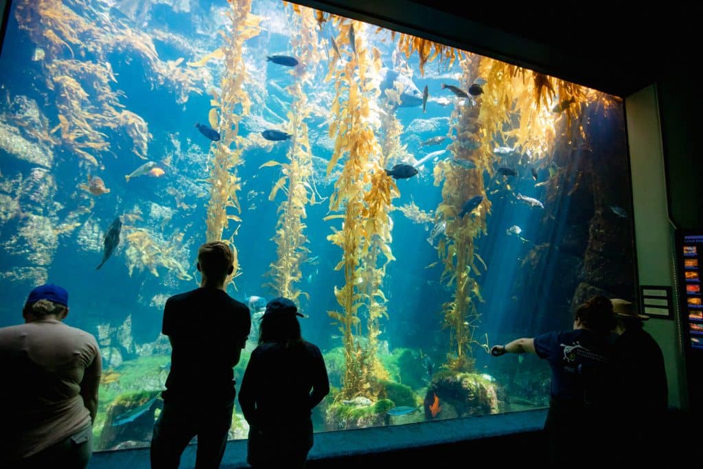 Birch Aquarium at Scripps San Diego California